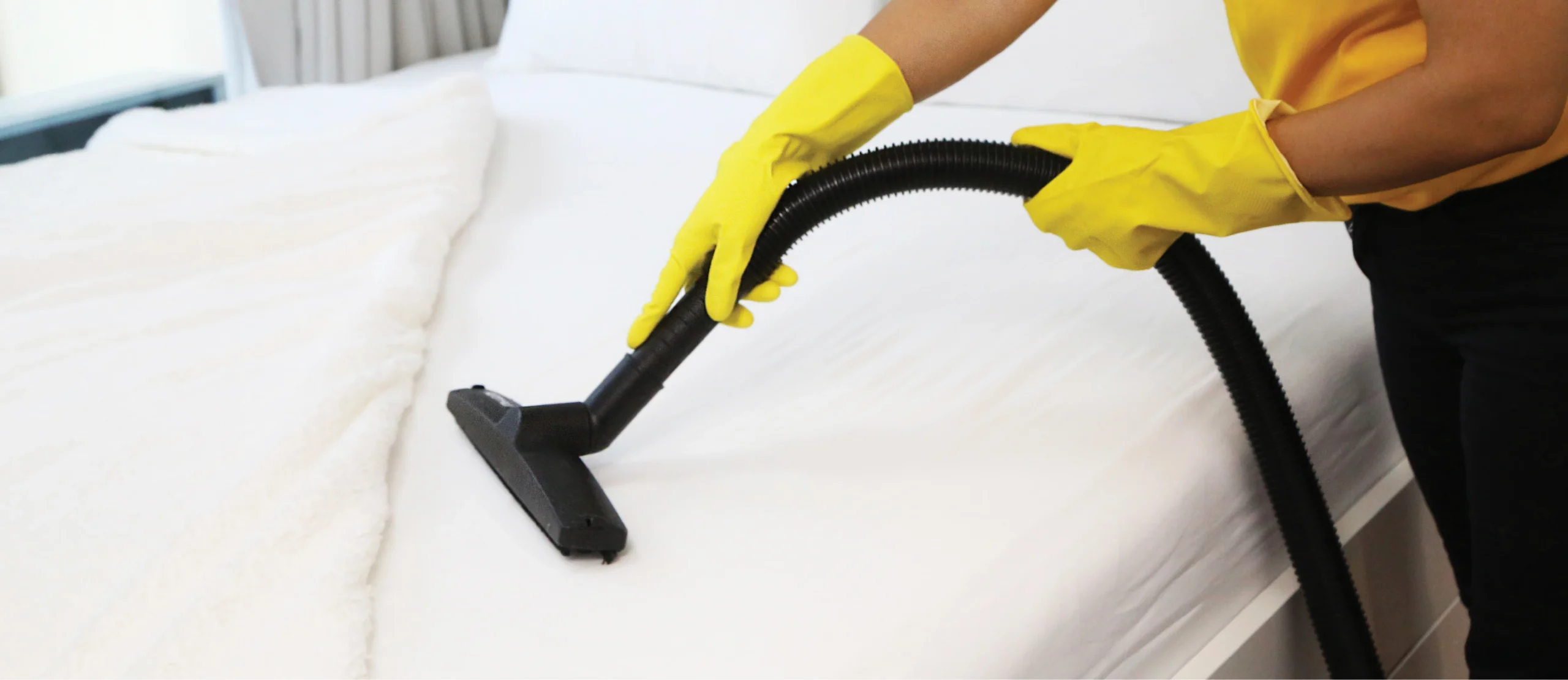 Carpet & Upholstery Shampooing