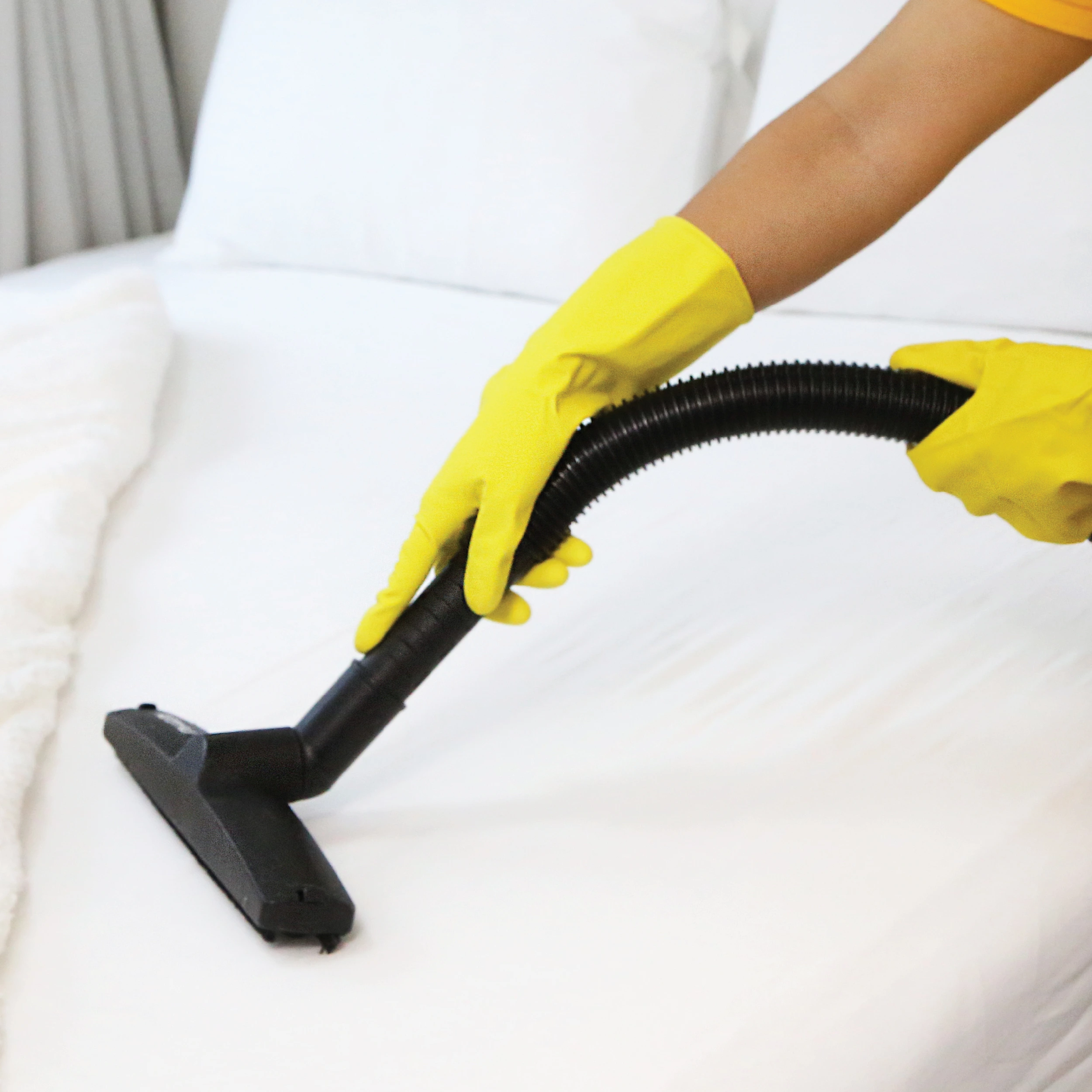 Carpet & Upholstery Shampooing